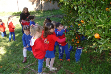 Colhendo e degustando frutas da horta da Escola