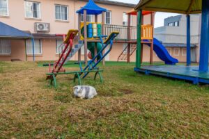 Briquedos Escola Maria Goretti